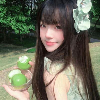 动画剧集